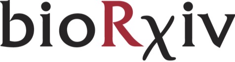 Example Image