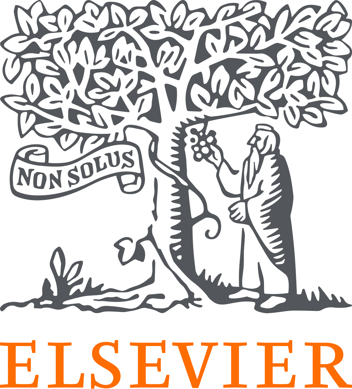 Example Image
